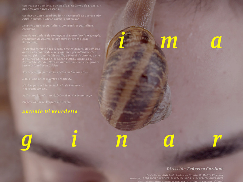 imagen que ilustra noticia Vidas imaginarias (castellano)