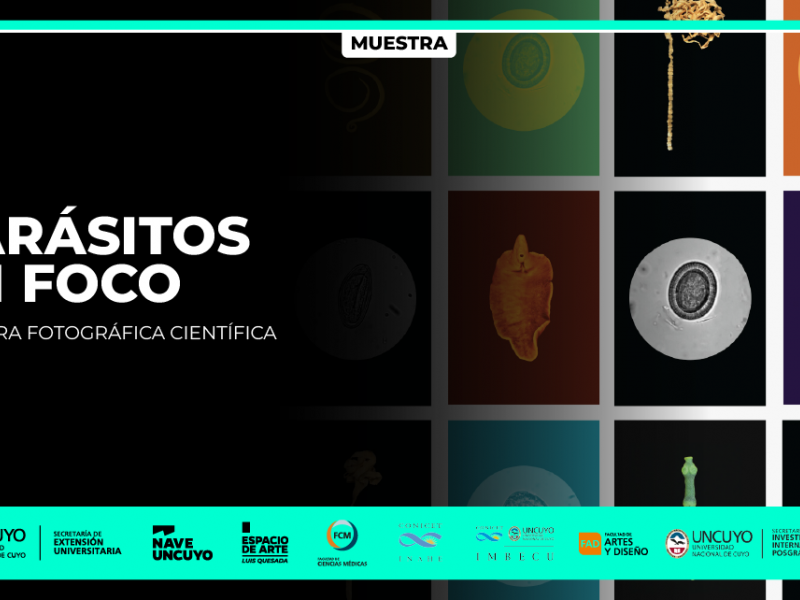 imagen que ilustra noticia Parásitos en foco